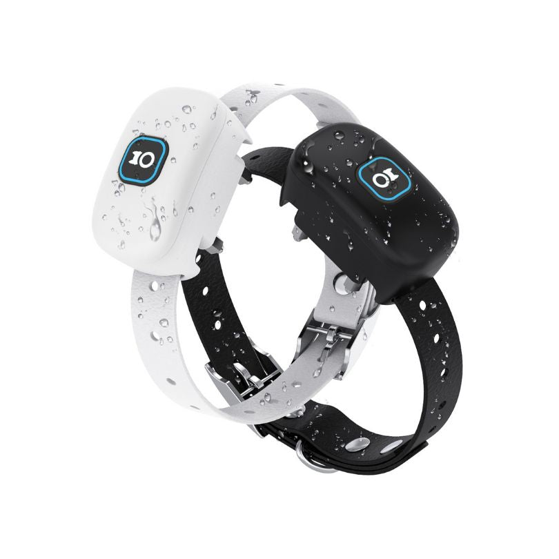 2-in-1 Wireless Dog Fence &amp; Training Collar - Black