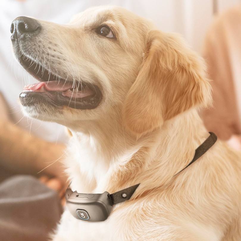 2-in-1 Wireless Dog Fence &amp; Training Collar - Black