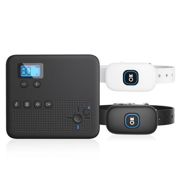 2-in-1 Wireless Dog Fence &amp; Training Collar - Black