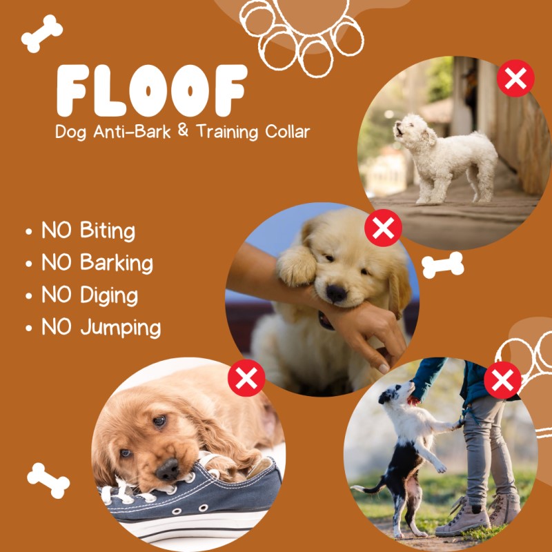 Dog Anti-Bark and Training Collar | Black
