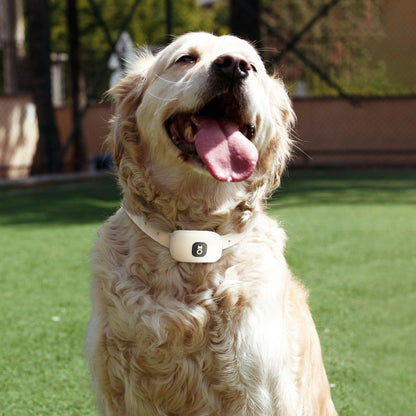 2-in-1 Wireless Dog Fence &amp; Training Collar - White