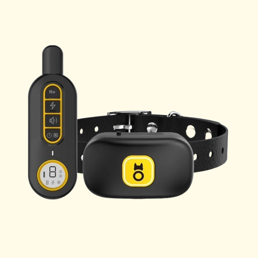 Dog Anti-Bark and Training Collar | Black