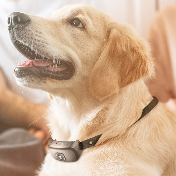 2-in-1 Wireless Dog Fence &amp; Training Collar for 2 Dogs - White